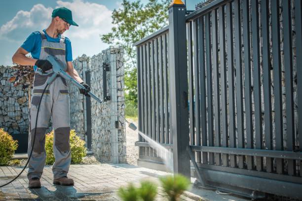 Boat and Dock Cleaning in Ithaca, MI