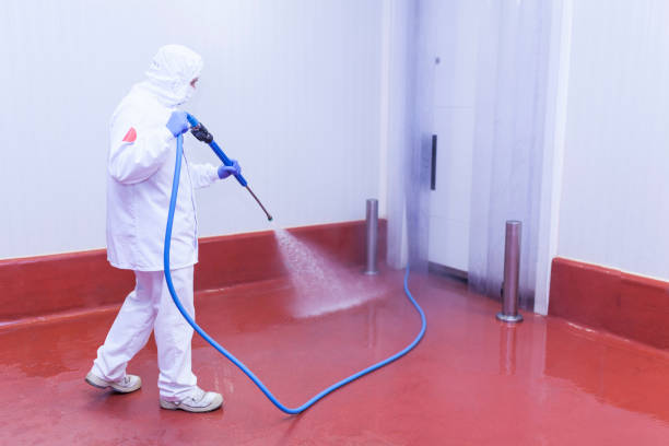 Best Dumpster Area Cleaning  in Ithaca, MI