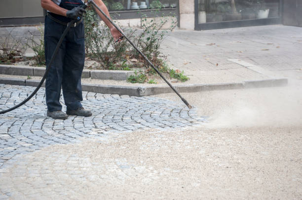 Best Driveway Pressure Washing  in Ithaca, MI