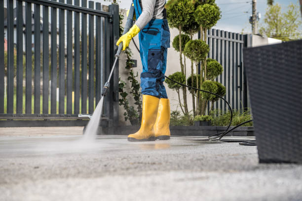Best Sidewalk and Walkway Cleaning  in Ithaca, MI