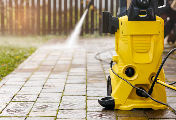 Best Pre-Holiday Cleaning  in Ithaca, MI