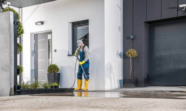 Best Machinery and Equipment Cleaning  in Ithaca, MI