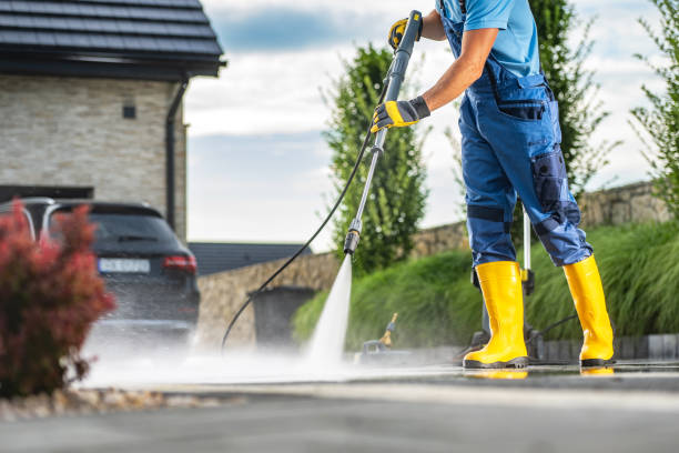 Best Roof Washing  in Ithaca, MI